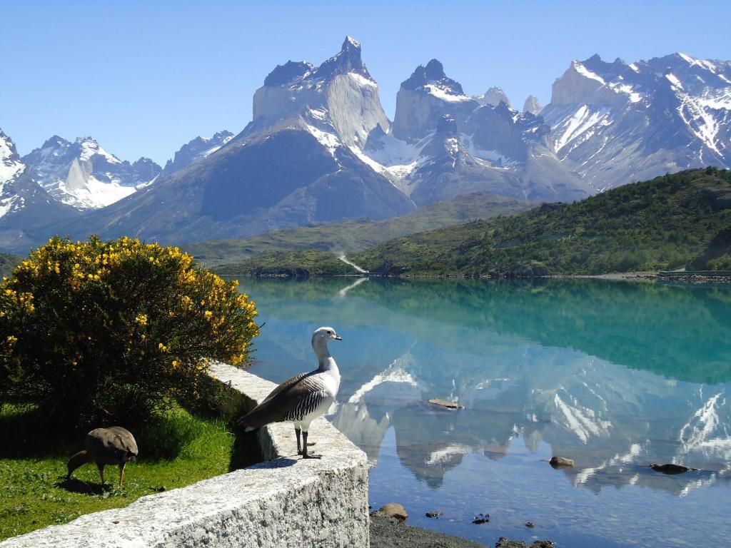 Hosteria Pehoe Torres del Paine National Park Exteriér fotografie